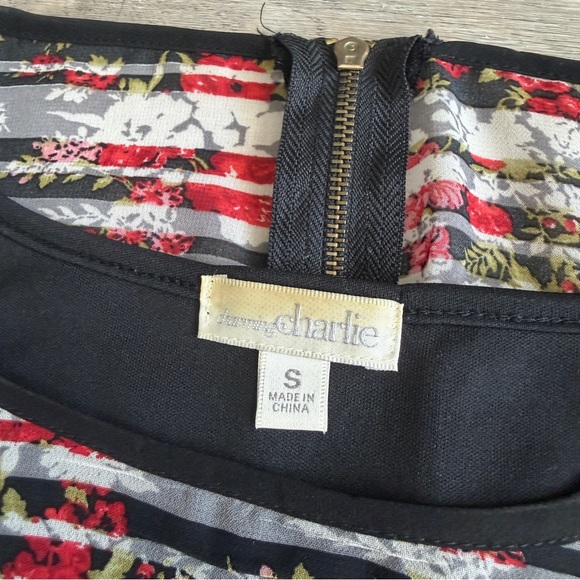 Charming Charlie Stripe Floral Sleeveless Dress - Black, Red, White S chic - Picture 2 of 9